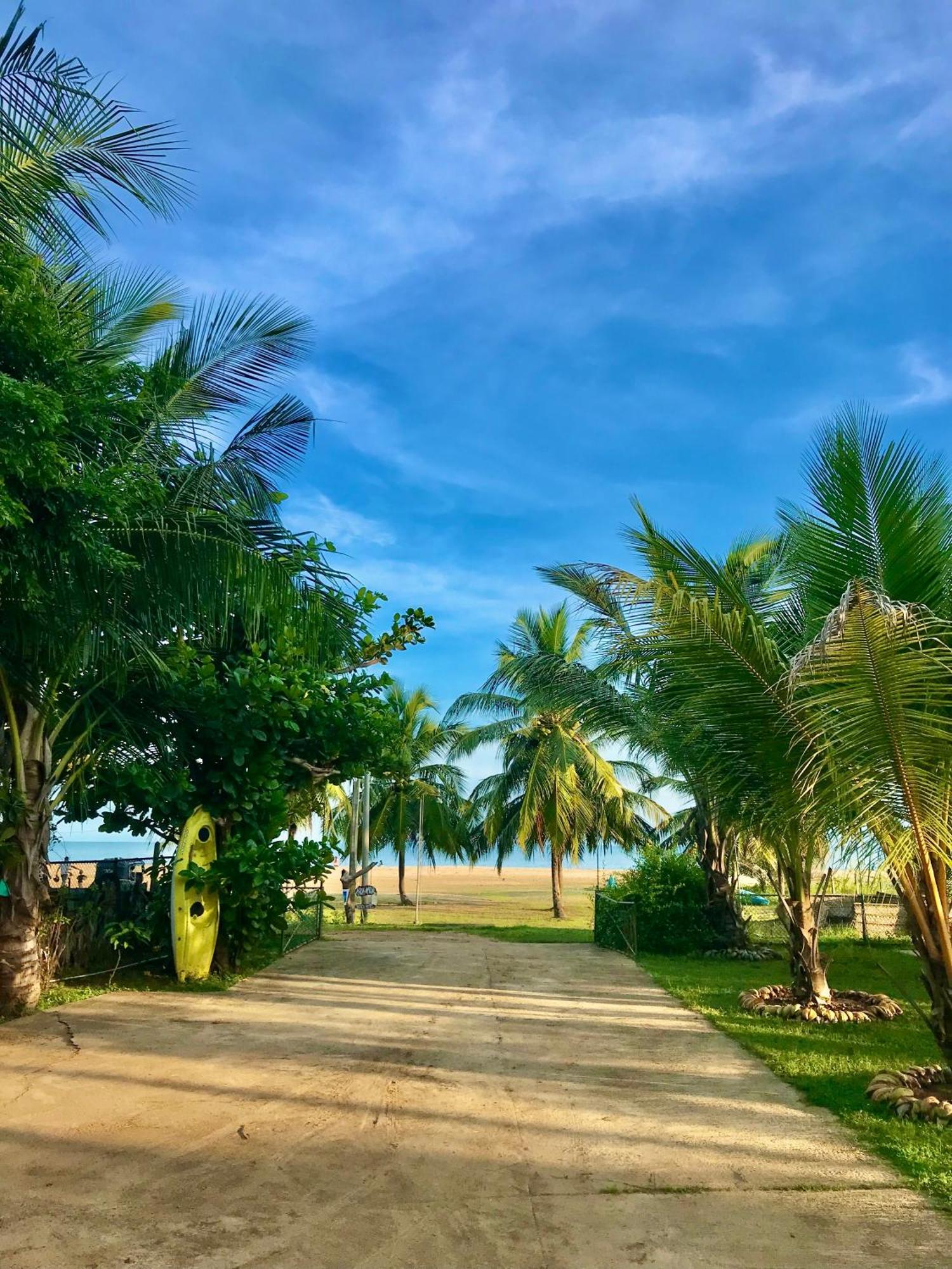 Aqua Marine Beach Hotel Kalkudah  Eksteriør billede